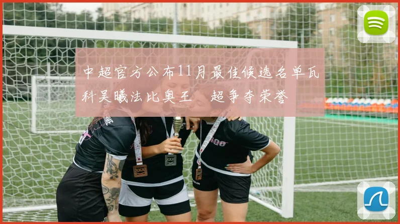 中超官方公布11月最佳候选名单瓦科吴曦法比奥王燊超争夺荣誉