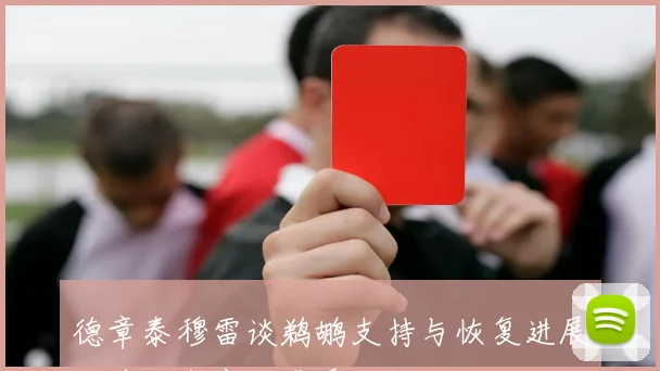 德章泰穆雷谈鹈鹕支持与恢复进展目前状态良好感受积极