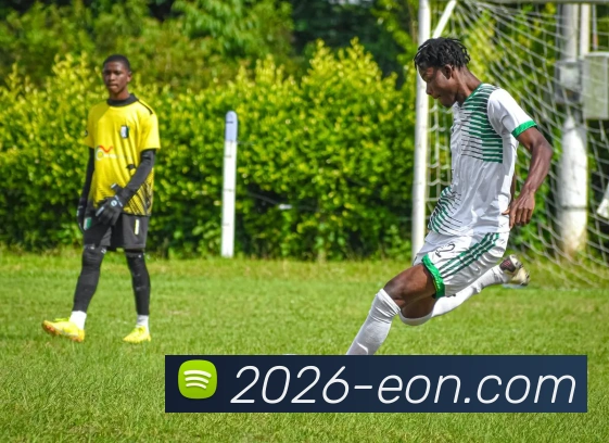 意昂体育服务体系